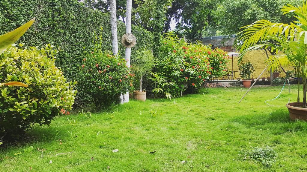 Hostal El Jardin León Dış mekan fotoğraf