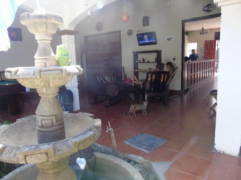Hostal El Jardin León Dış mekan fotoğraf